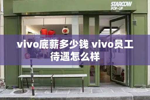 vivo底薪多少钱 vivo员工待遇怎么样-第1张图片-星选测评