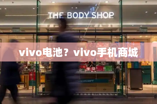 vivo电池？vivo手机商城