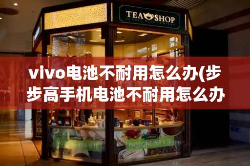 vivo电池不耐用怎么办(步步高手机电池不耐用怎么办)