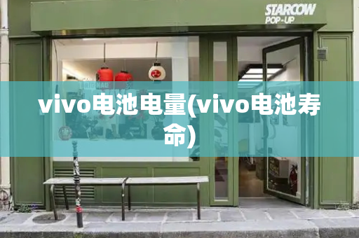 vivo电池电量(vivo电池寿命)-第1张图片-星选测评