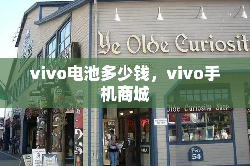 vivo电池多少钱，vivo手机商城