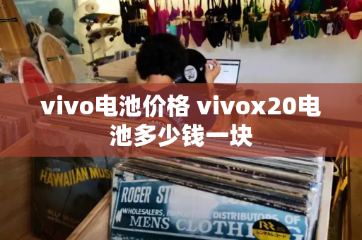 vivo电池价格 vivox20电池多少钱一块-第1张图片-星选测评