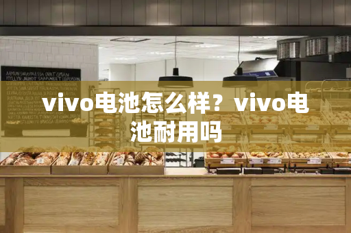 vivo电池怎么样？vivo电池耐用吗