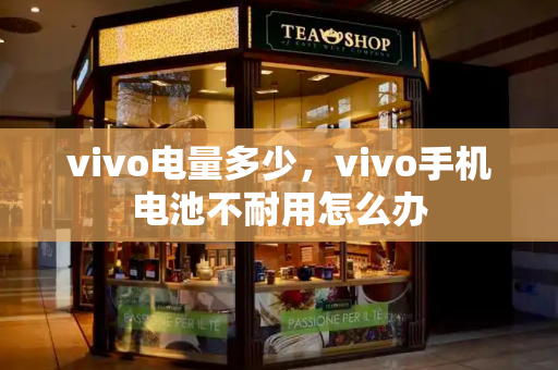 vivo电量多少，vivo手机电池不耐用怎么办