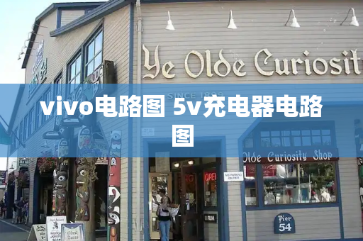 vivo电路图 5v充电器电路图