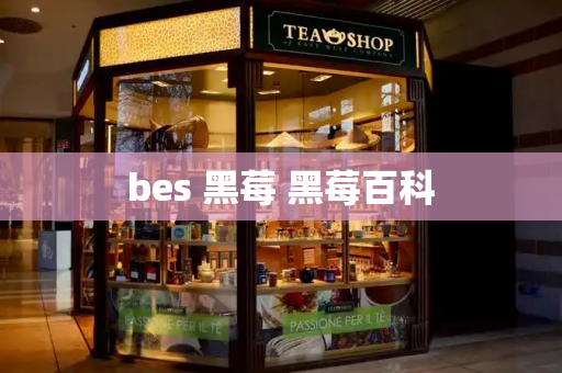 bes 黑莓 黑莓百科