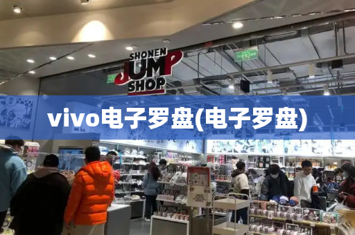 vivo电子罗盘(电子罗盘)