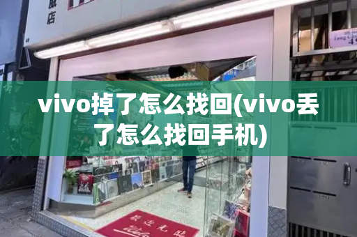 vivo掉了怎么找回(vivo丢了怎么找回手机)