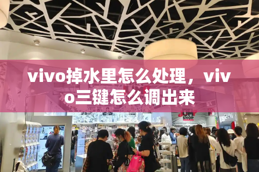 vivo掉水里怎么处理，vivo三键怎么调出来