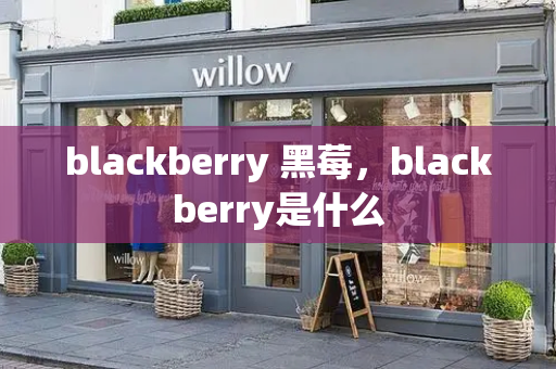 blackberry 黑莓，blackberry是什么