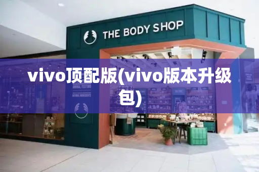 vivo顶配版(vivo版本升级包)