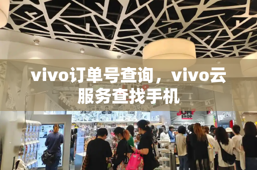 vivo订单号查询，vivo云服务查找手机