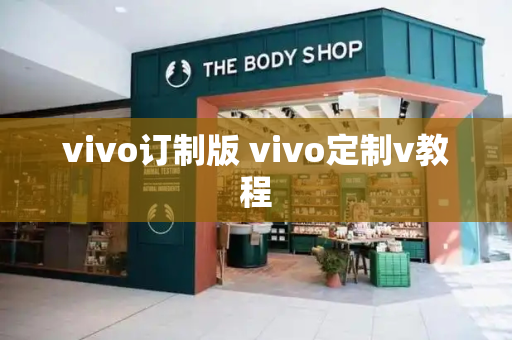vivo订制版 vivo定制v教程-第1张图片-星选测评