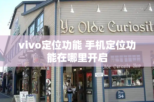 vivo定位功能 手机定位功能在哪里开启-第1张图片-星选测评