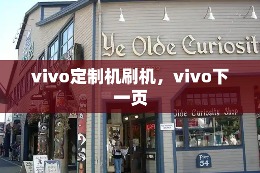 vivo定制机刷机，vivo下一页-第1张图片-星选测评