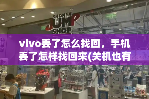 vivo丢了怎么找回，手机丢了怎样找回来(关机也有效)-第1张图片-星选测评