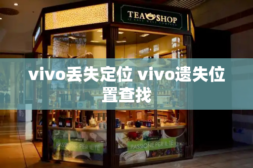 vivo丢失定位 vivo遗失位置查找-第1张图片-星选测评
