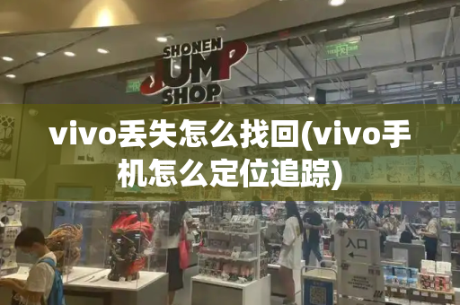 vivo丢失怎么找回(vivo手机怎么定位追踪)-第1张图片-星选测评
