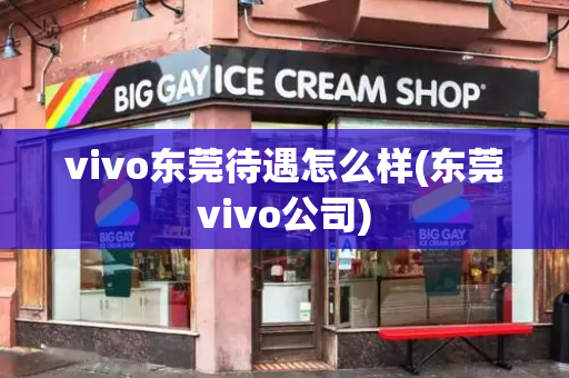vivo东莞待遇怎么样(东莞vivo公司)-第1张图片-星选测评