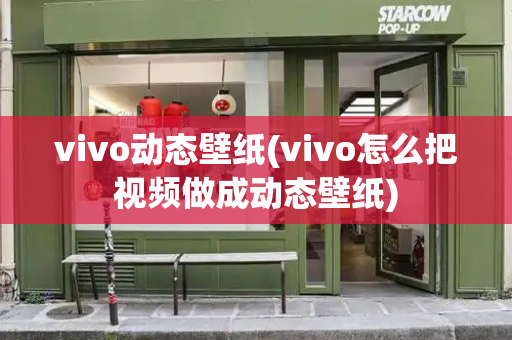vivo动态壁纸(vivo怎么把视频做成动态壁纸)