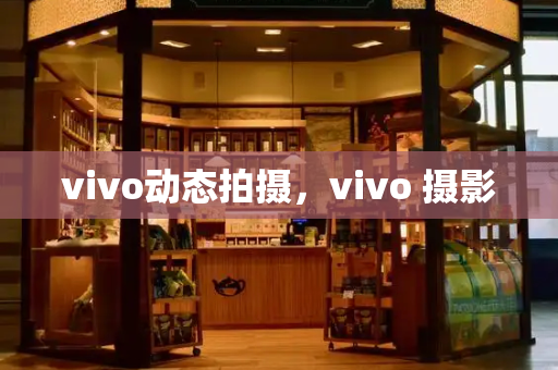 vivo动态拍摄，vivo 摄影-第1张图片-星选测评