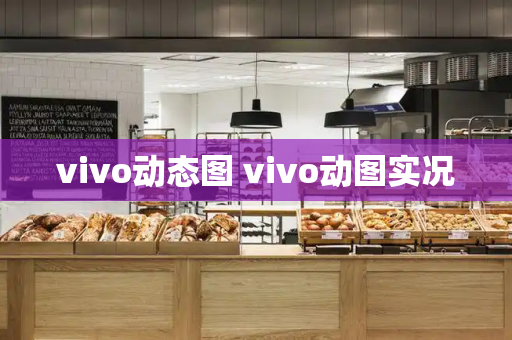vivo动态图 vivo动图实况