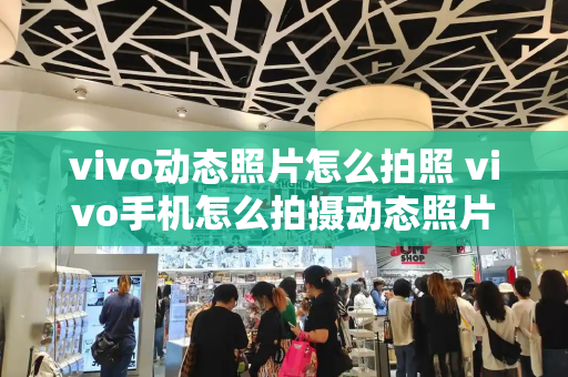 vivo动态照片怎么拍照 vivo手机怎么拍摄动态照片