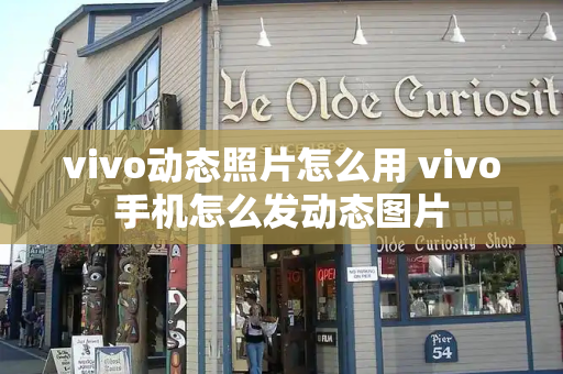 vivo动态照片怎么用 vivo手机怎么发动态图片