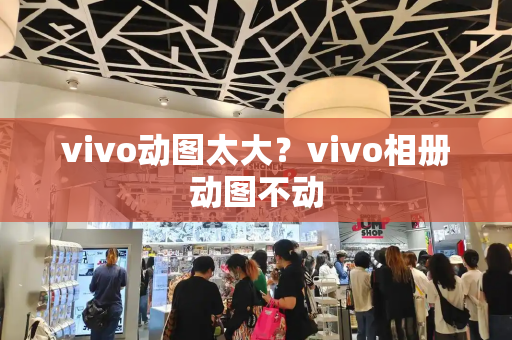 vivo动图太大？vivo相册动图不动-第1张图片-星选测评