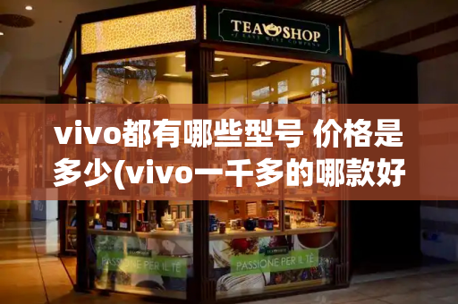 vivo都有哪些型号 价格是多少(vivo一千多的哪款好)-第1张图片-星选测评