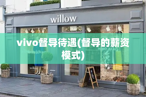 vivo督导待遇(督导的薪资模式)-第1张图片-星选测评