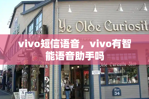 vivo短信语音，vivo有智能语音助手吗