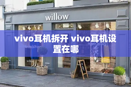vivo耳机拆开 vivo耳机设置在哪-第1张图片-星选测评