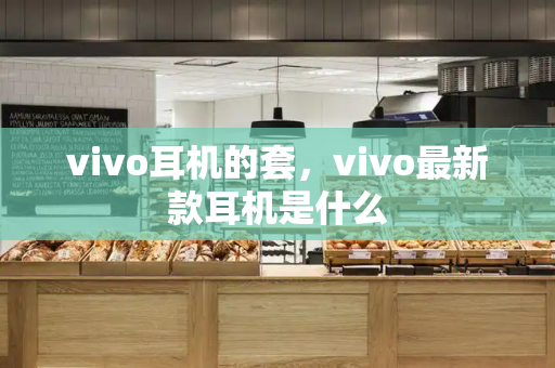 vivo耳机的套，vivo最新款耳机是什么-第1张图片-星选测评