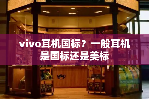 vivo耳机国标？一般耳机是国标还是美标