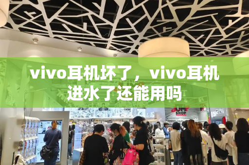 vivo耳机坏了，vivo耳机进水了还能用吗