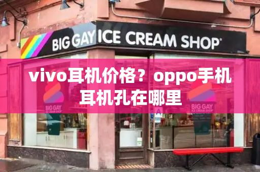 vivo耳机价格？oppo手机耳机孔在哪里-第1张图片-星选测评