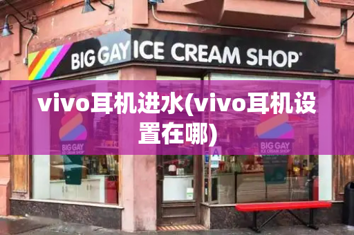 vivo耳机进水(vivo耳机设置在哪)