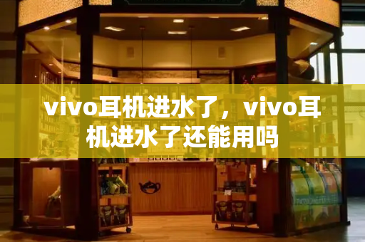 vivo耳机进水了，vivo耳机进水了还能用吗-第1张图片-星选测评