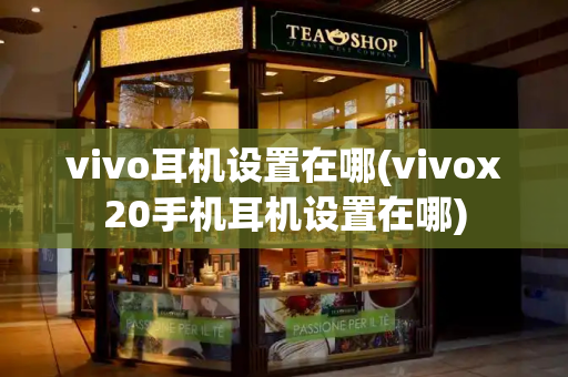 vivo耳机设置在哪(vivox20手机耳机设置在哪)-第1张图片-星选测评