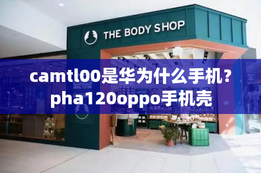 camtl00是华为什么手机？pha120oppo手机壳-第1张图片-星选测评