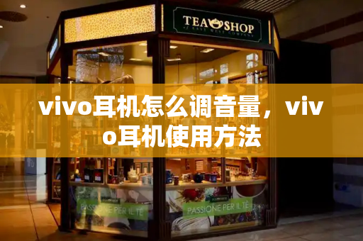 vivo耳机怎么调音量，vivo耳机使用方法-第1张图片-星选测评