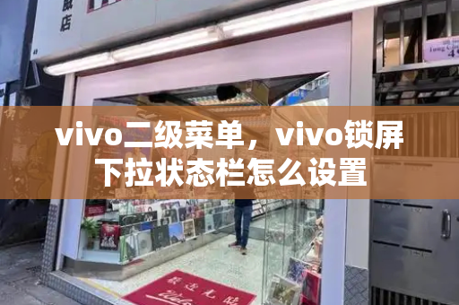 vivo二级菜单，vivo锁屏下拉状态栏怎么设置
