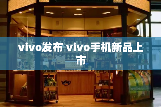 vivo发布 vivo手机新品上市