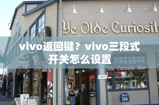 vivo返回键？vivo三段式开关怎么设置