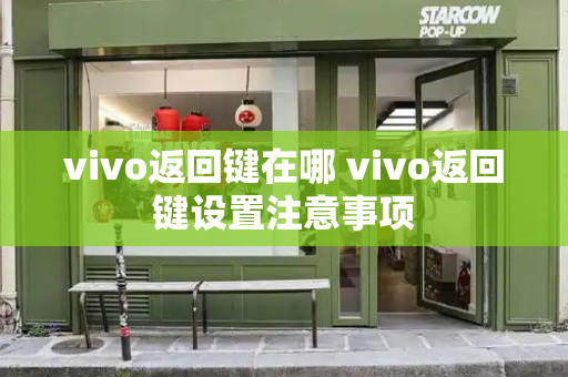 vivo返回键在哪 vivo返回键设置注意事项
