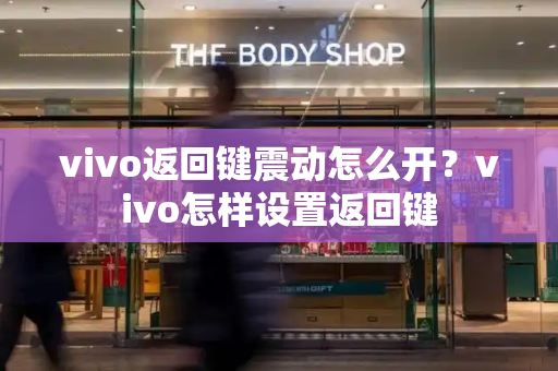 vivo返回键震动怎么开？vivo怎样设置返回键