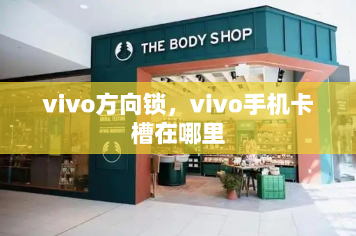 vivo方向锁，vivo手机卡槽在哪里