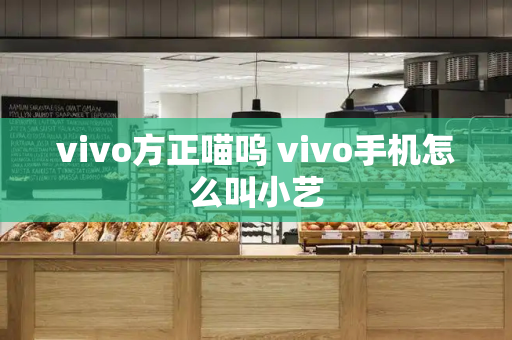 vivo方正喵呜 vivo手机怎么叫小艺