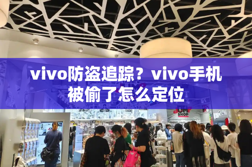 vivo防盗追踪？vivo手机被偷了怎么定位-第1张图片-星选测评